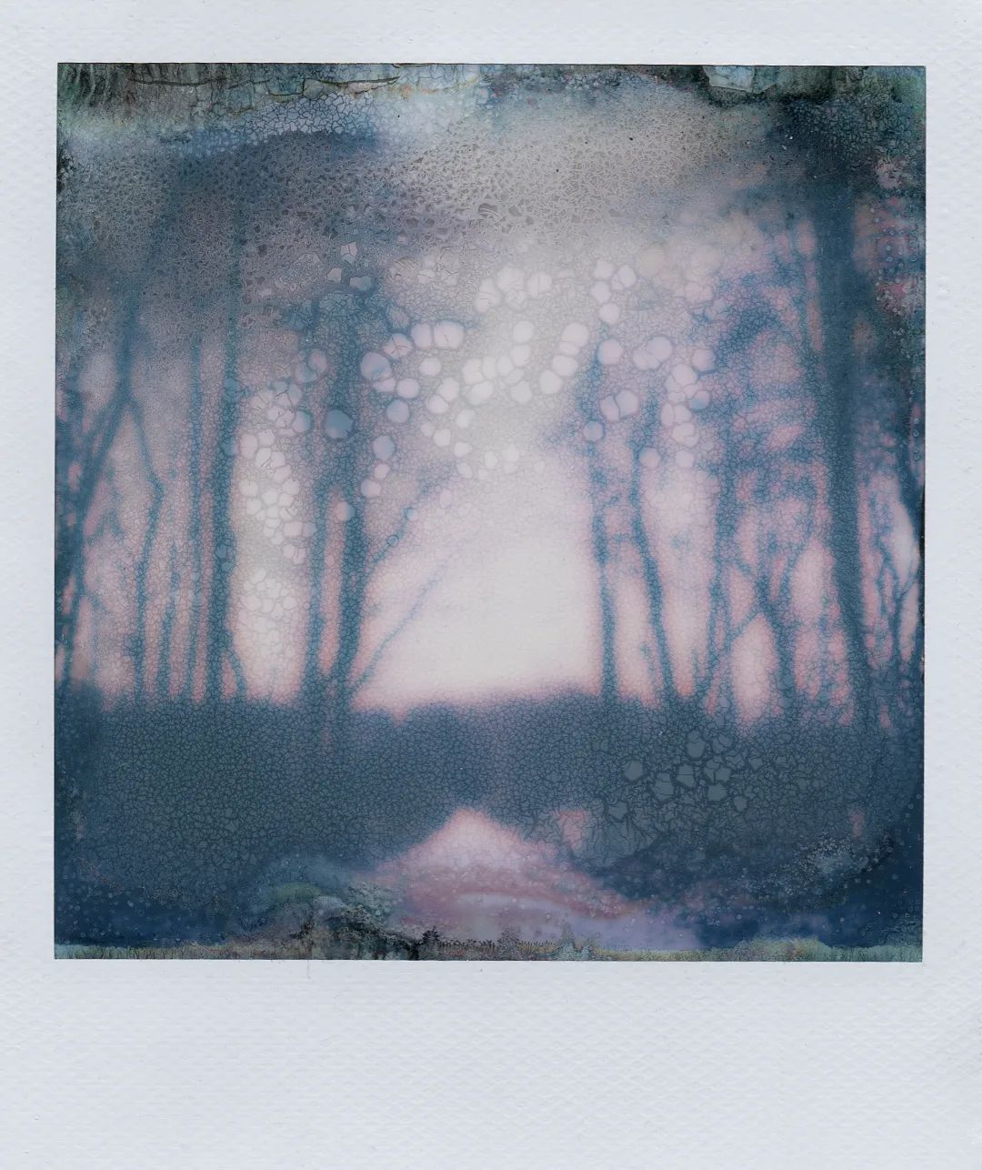 Polaroid #art